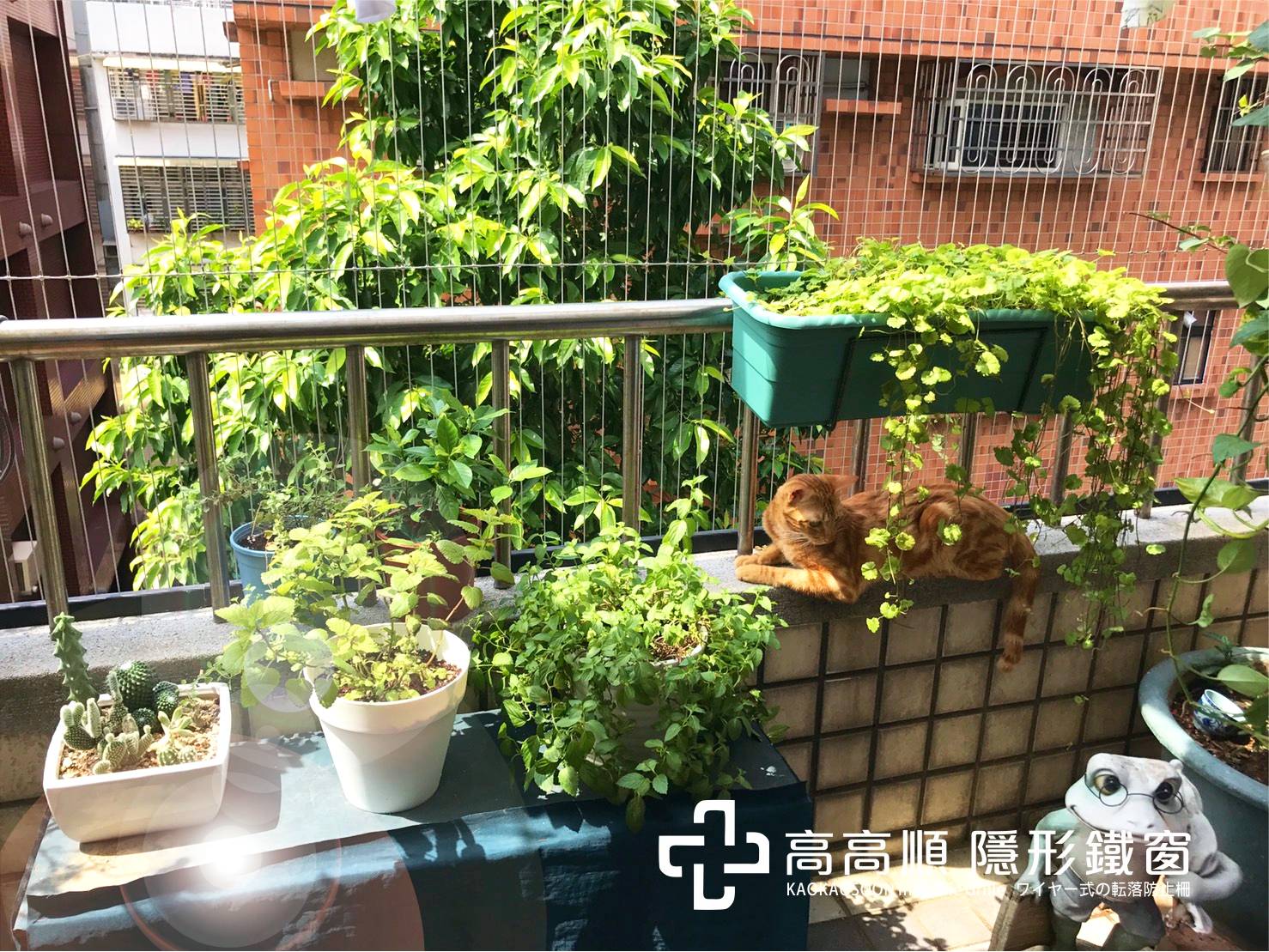 貓咪喜歡曬太陽，但是如果窗邊或陽台邊沒有防貓隱形鐵窗或是其他居家防貓設施的話，貓咪喜歡曬太陽的習性會讓貓咪身陷危險喔！