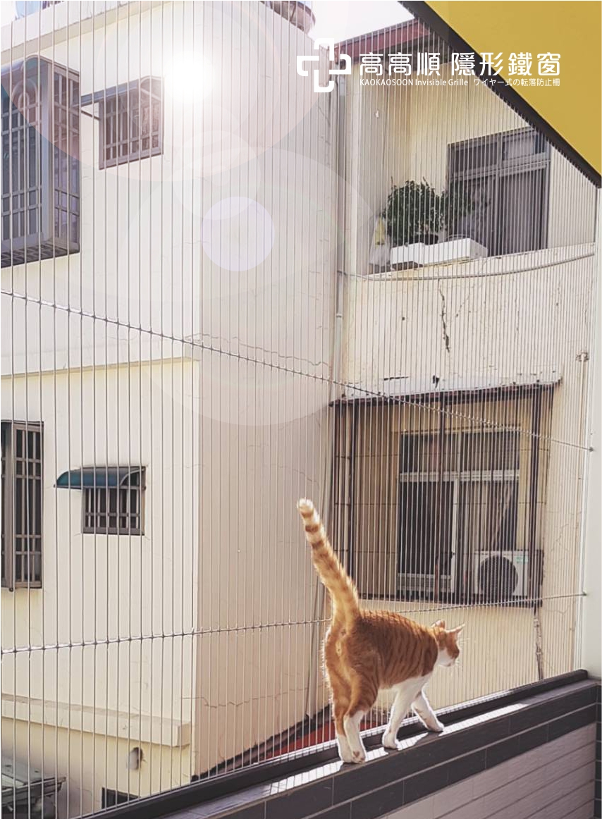 貓咪喜歡高處、喜歡狹小的空間，也很喜歡在小小的路上走呀走的挑戰極限，雖然貓咪平衡感很好還是要注意貓咪避免墜樓，陽台防貓隱形鐵窗就是貓咪挑戰極限時的安全設施！