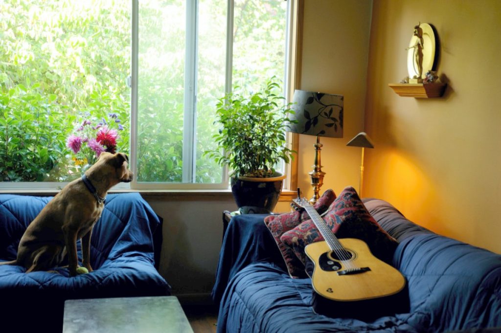 桃園縣市隱形鐵窗價格推薦