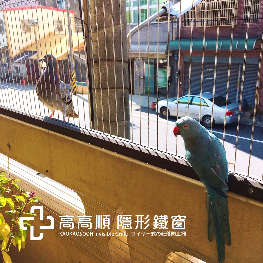 高高順防鴿網五大優勢：不要害怕鴿，我們讓鴿只是傳說- 高高順隱形鐵窗防墜網防鴿網防貓網防盜網