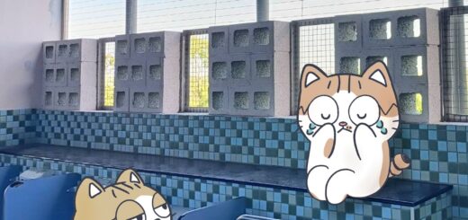 廁所隱形鐵窗防墜