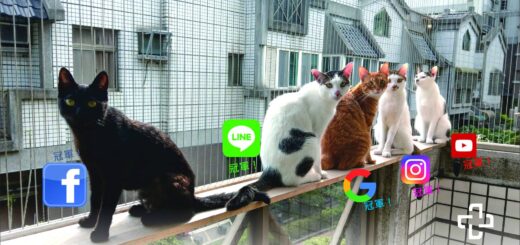 高高順隱形鐵窗推薦最多