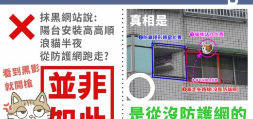 隱形鐵窗沒有用?貓咪從隱形鐵窗跑出去??